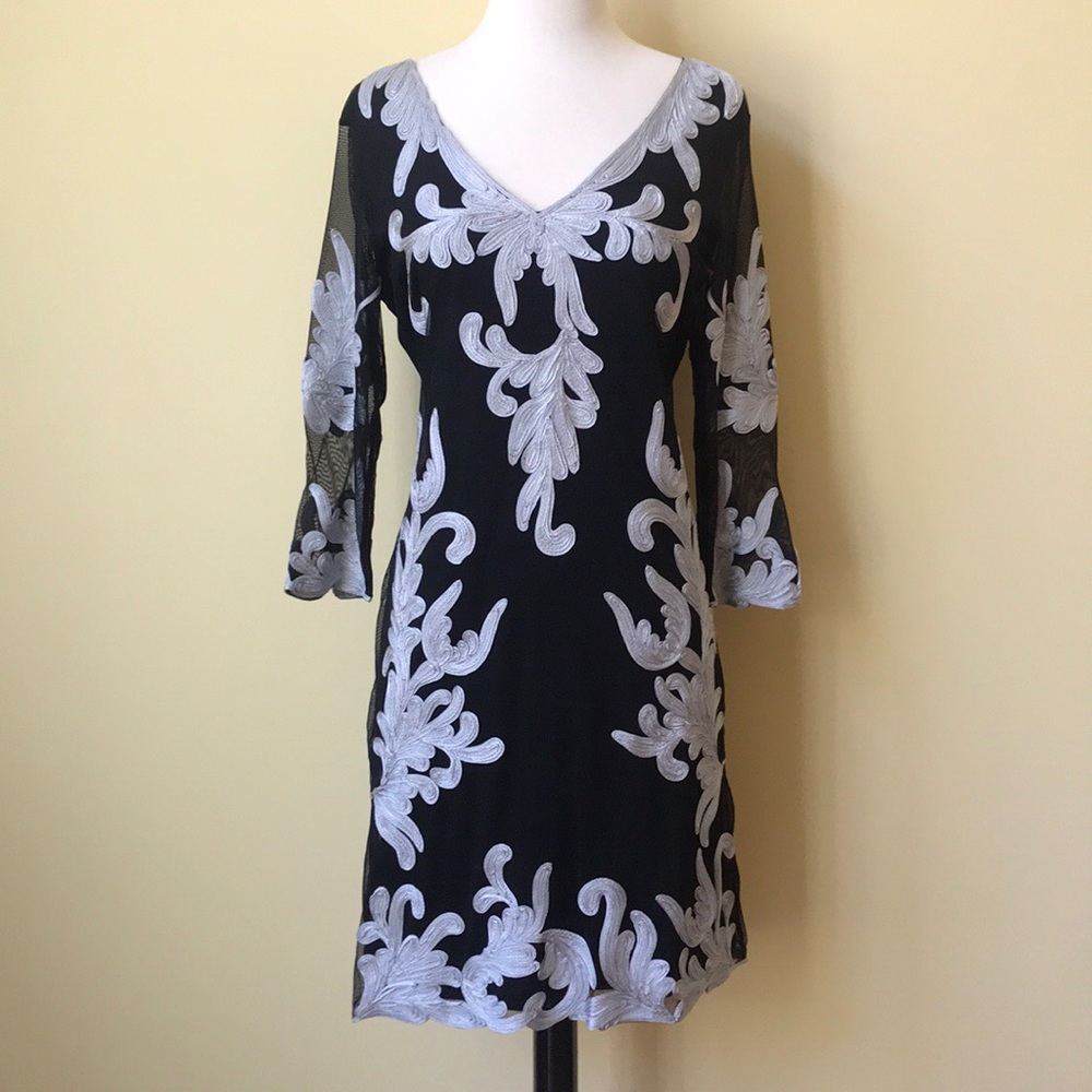 Cartise V-Neck Sheer Black Ribbon Dress